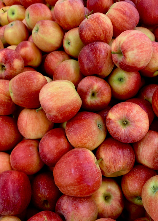 Harvest Apple